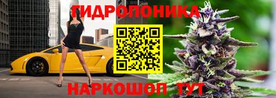 гидра Нальчик