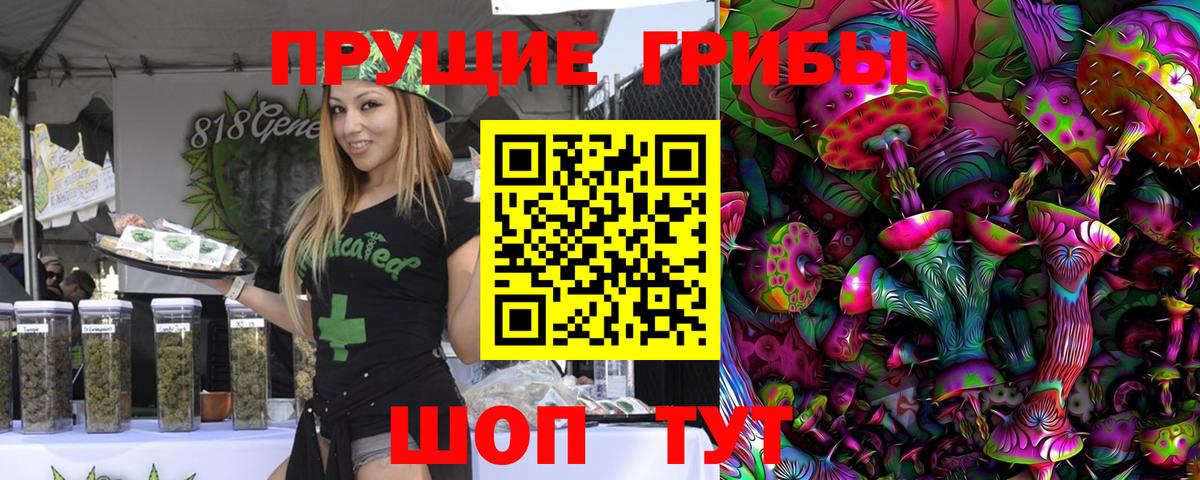 Урус-Мартан  Галлюциногенные грибы мицелий  Вход с VPN 