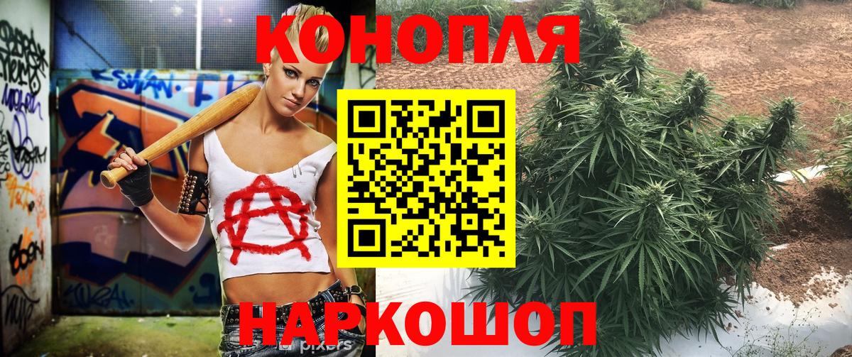 Каннабис семена Урус-Мартан